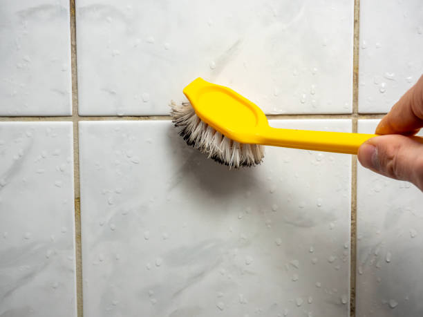 Best Toxic Mold Removal  in Pinetop Country Clu, AZ