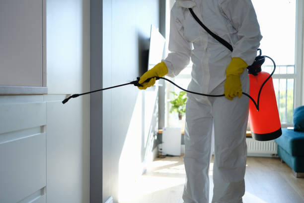 Pinetop Country Clu, AZ Mold Removal Company