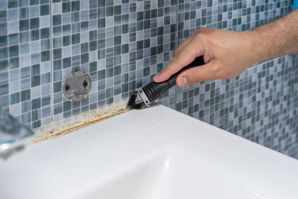 Mold Testing and Removal in Pinetop Country Clu, AZ